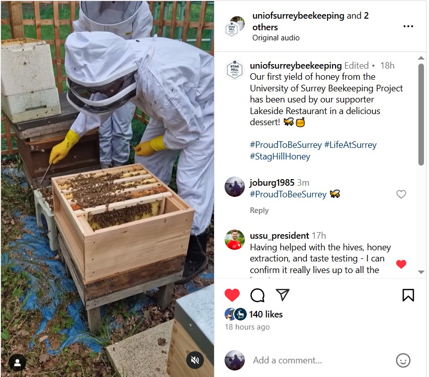 Instagram post by uniofsurreybeekeeping