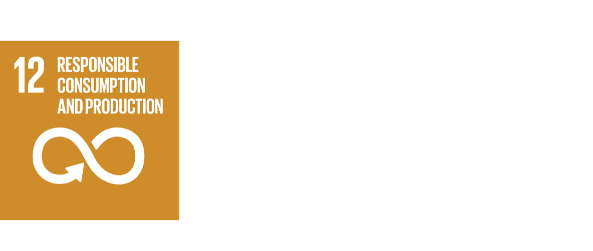 SDG 12: responsible consumption and production logo
