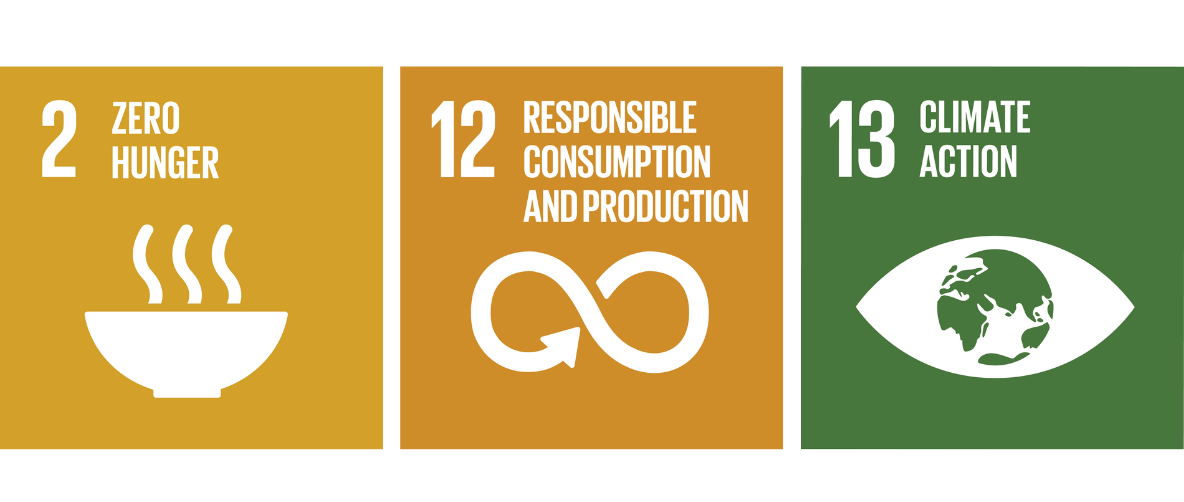 SDG logos for SDG 2, 12 and 13