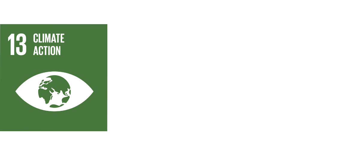 SDG 13 climate action logo