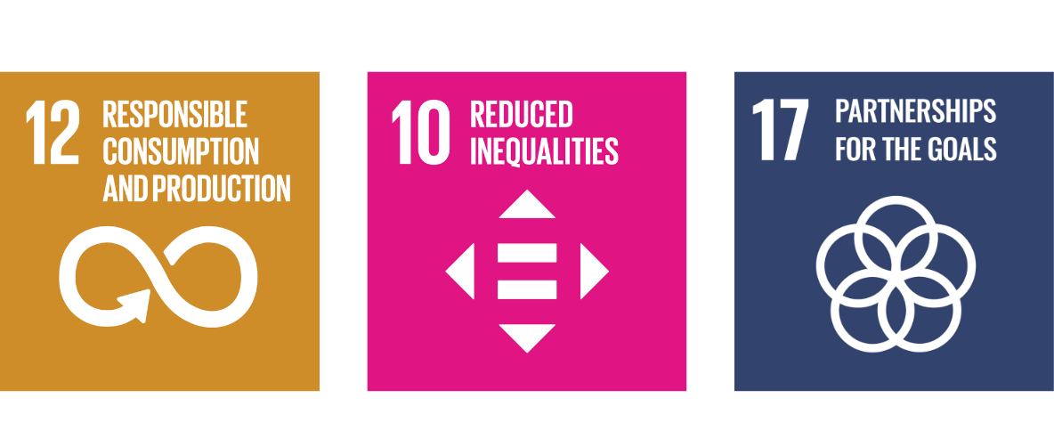 sustainable development goal logos from 12, 10 and 17