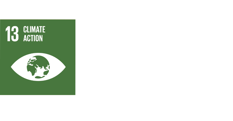 SDG 13 climate action logo