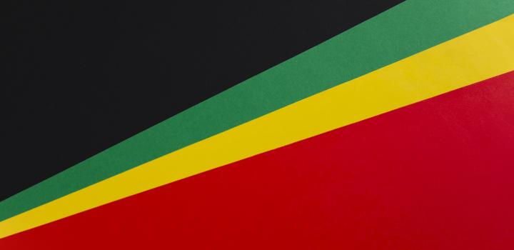 Black History month flag 
