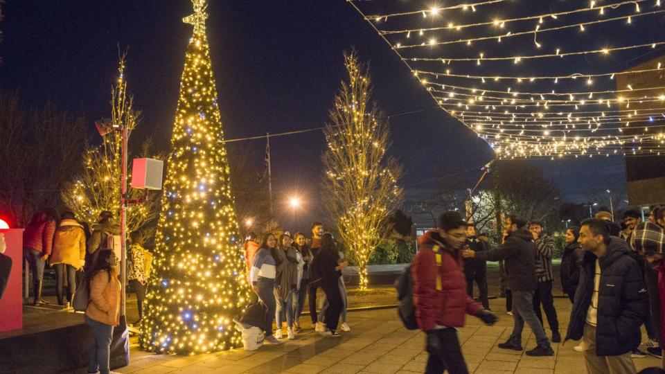 A photo of the light decorations at a Surrey Switch On event