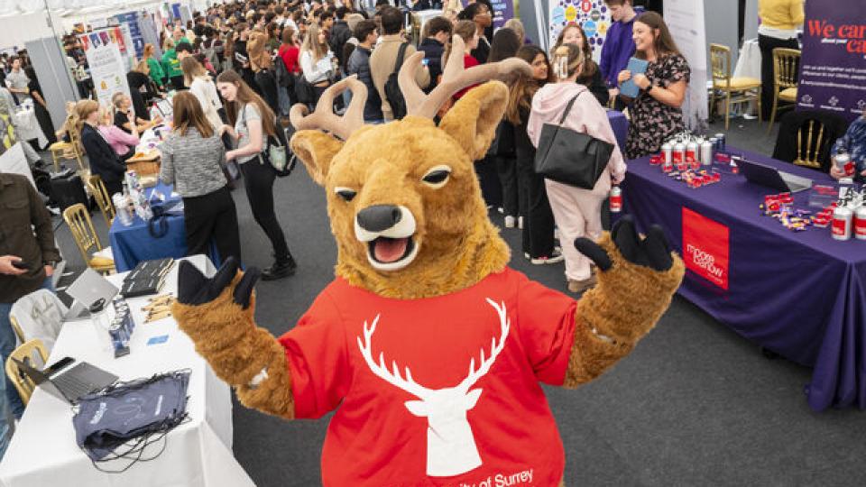 Steve the stag at a careers fair
