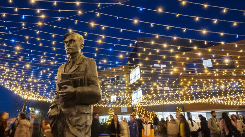 A photo of the blanket of lights at the Surrey Switch On