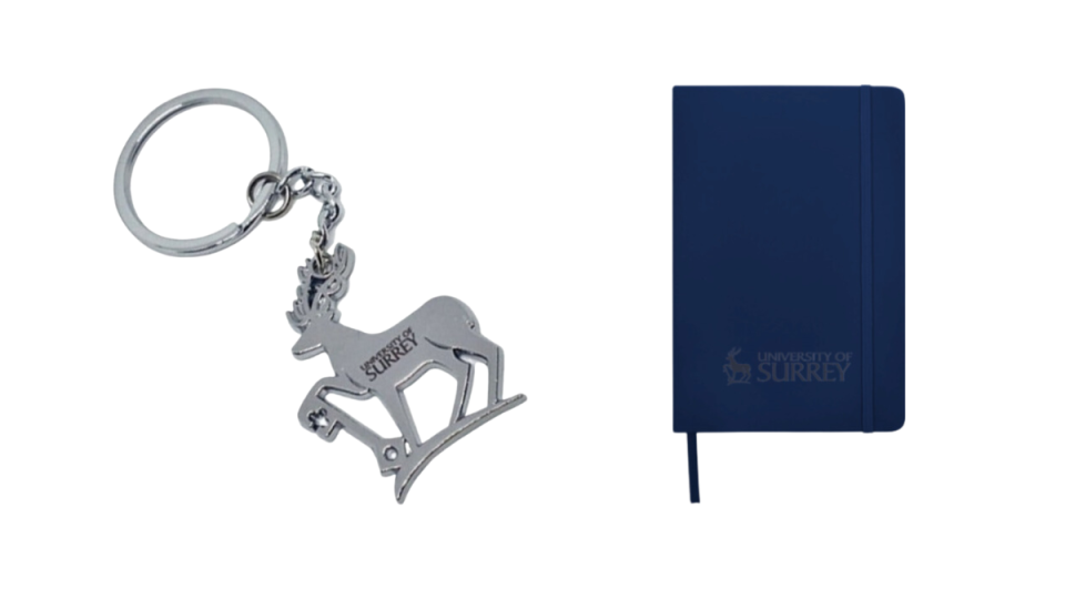 Surrey keyring and notebook