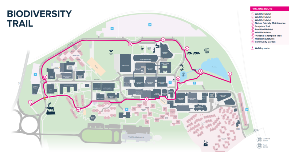 Biodiversity walking route, Stag Hill campus