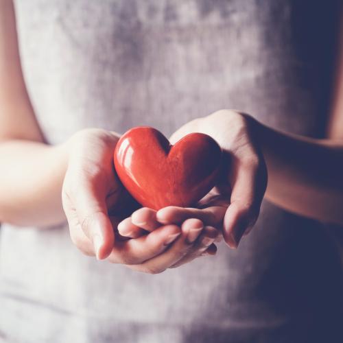 A person's hands holding a wooden heart